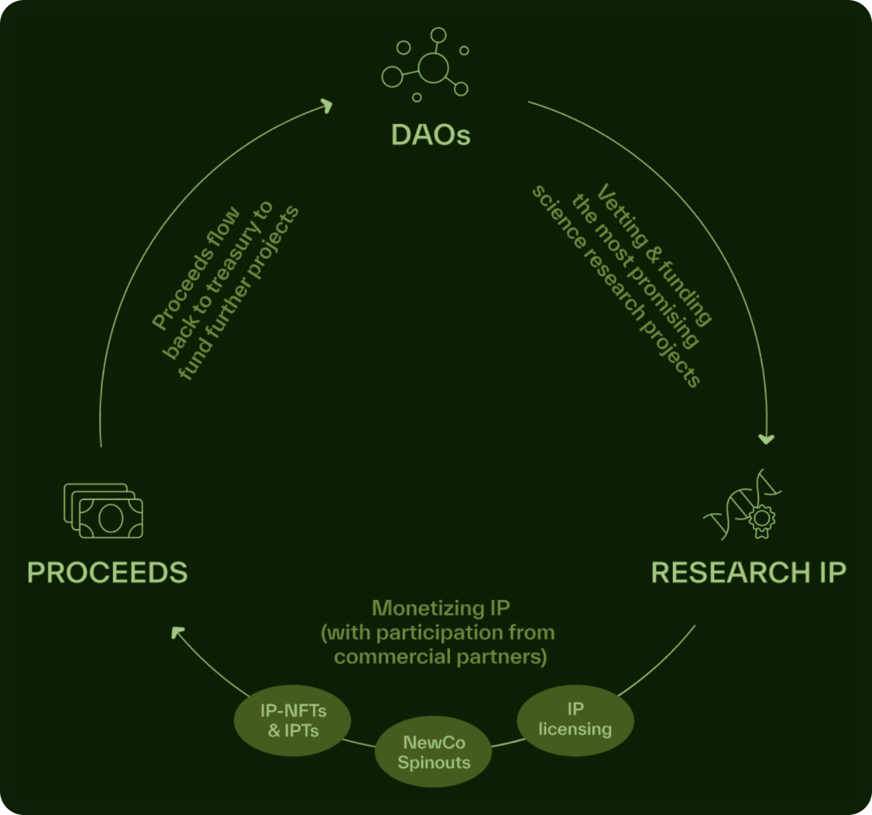 ԔBIO ProtocolDeSciI(lng)Ŀθ¿ DƬ